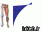 دکتر سیدحجت آیت الهی موسوی