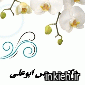 دکتر سیروس ابوعلی