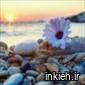 تاسیسات بهمنش