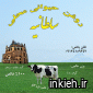 سلطانیه
