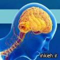 دکتر شبنم رفیع زاده - مطب سعادت آباد