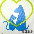 کلینیک صادقیه