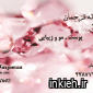 دکتر لاله ترجمان