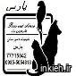 پارس (شبانه روزی)
