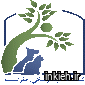 کلینیک زعفرانیه
