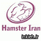 همستر ایران