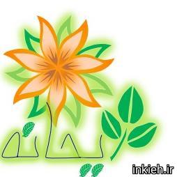 تولیدی رشته ریحانه