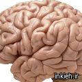 دکتر شبنم رفیع زاده - مطب شهرک ولی عصر